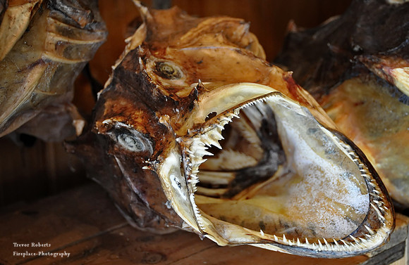 Sharp teeth