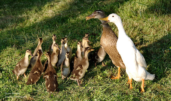 Morning meeting with Mum & Dad