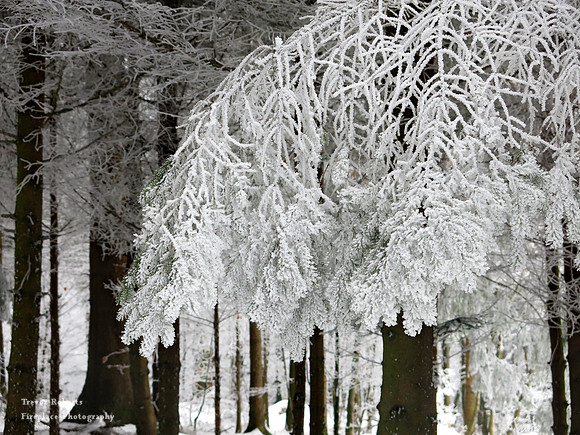 Heavy frost