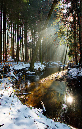 Winter scene at the Kohlaichbach stream