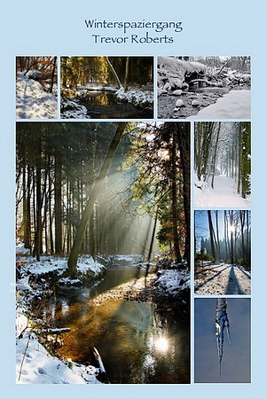 Winter walk poster