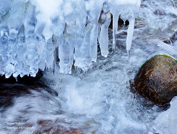 Icicles in the stream coming away from Laudachsee Jan 2022