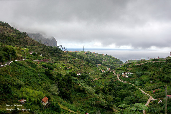 Green landscapes under the low hanging clouds
