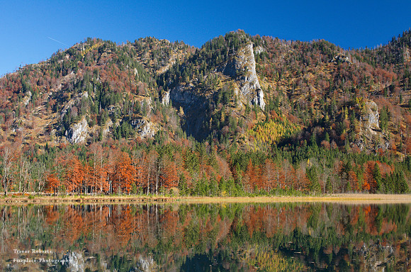 Autumn reflections