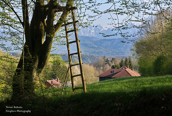 Intriguing ladder