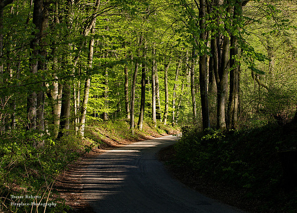 Green lane