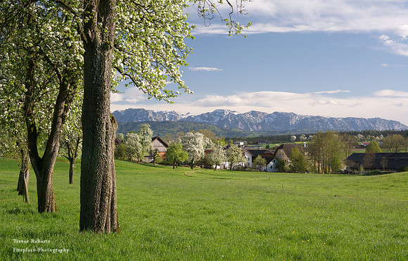 Spring time in Pilsbach