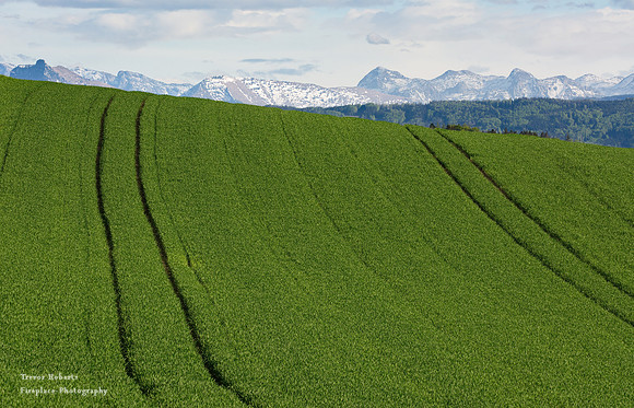 Green mountains
