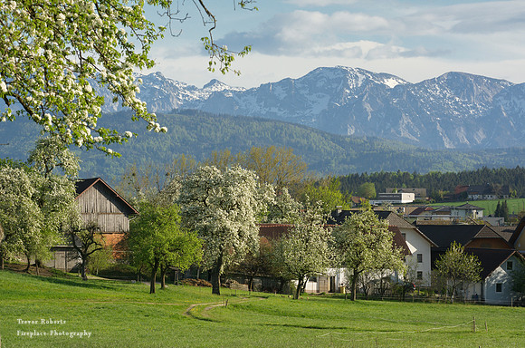 Spring time in Pilsbach 2
