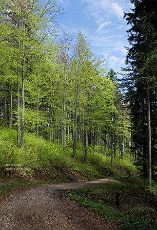 Laudachsee 6