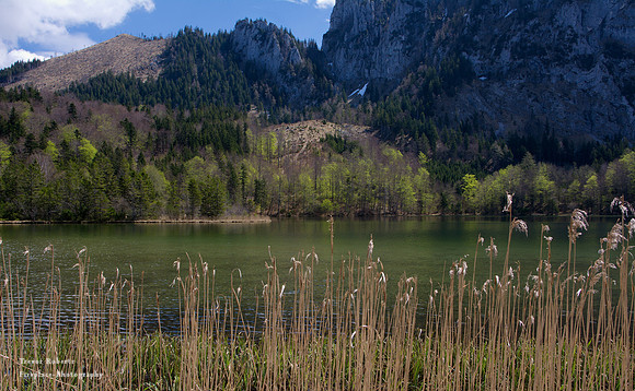 Laudachsee 12