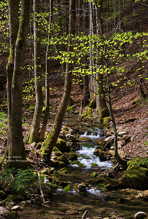 Laudachsee 16