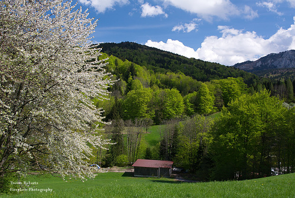 Laudachsee 25