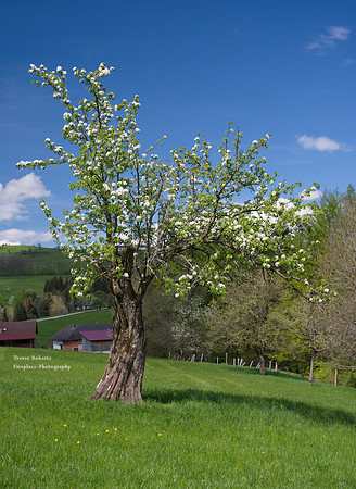 Laudachsee 26