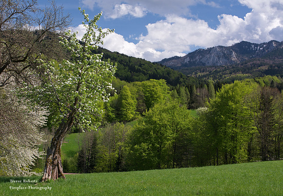 Laudachsee 24a