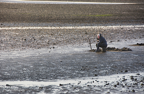 The old man and the mud