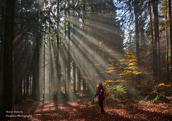 Standing in awe of nature's beauty