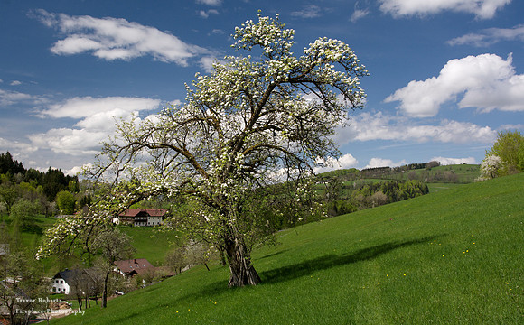 Laudachsee 21