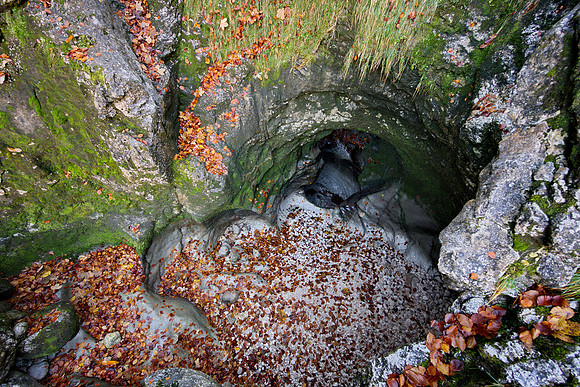 Glacial gardens near Waldbachstrub, Hallstatt