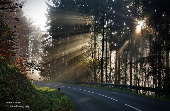 On the way to Pilsbach -  The magic begins