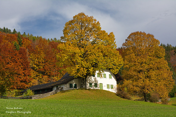 Farmhouse on a small hill overlooking the lake