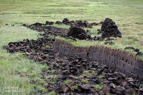 peat