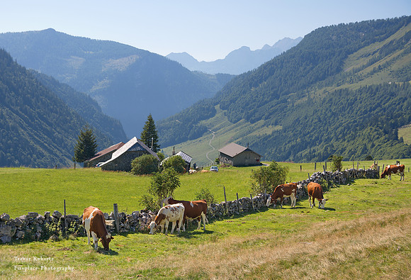 Genneralm