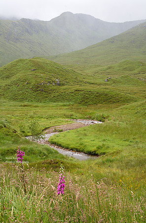 Misty stream on a rainy day
