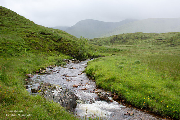 Misty stream