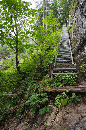 Going up on the way from Offensee to Wildensee.