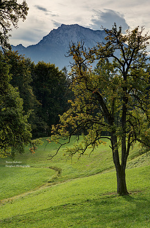 Gmundnerberg in October