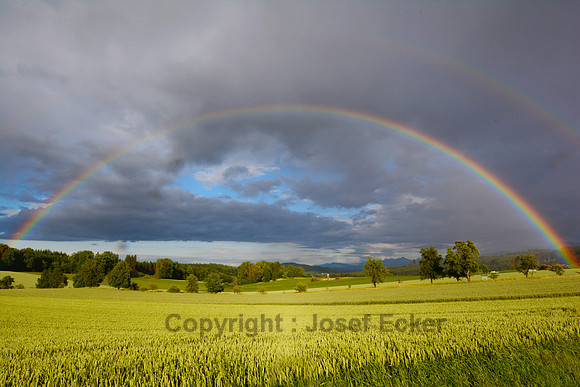 Bild: Josef  Ecker