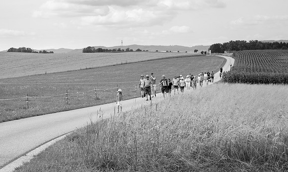 Eröffnung 8. Runde 2024