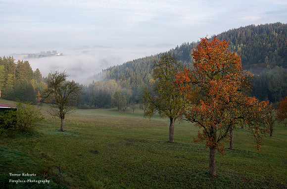 Morning mist. View from room at the Kleebaue 2r hotel