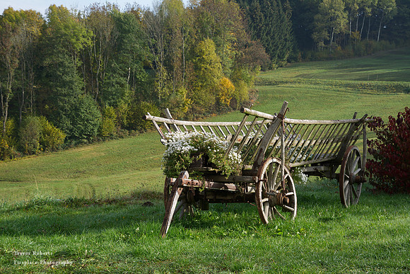 Wagon at Kleebauer reception