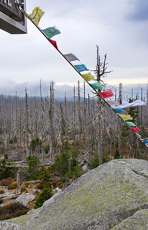 Summit 3