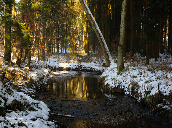 Kohlaicbach Feb 2014