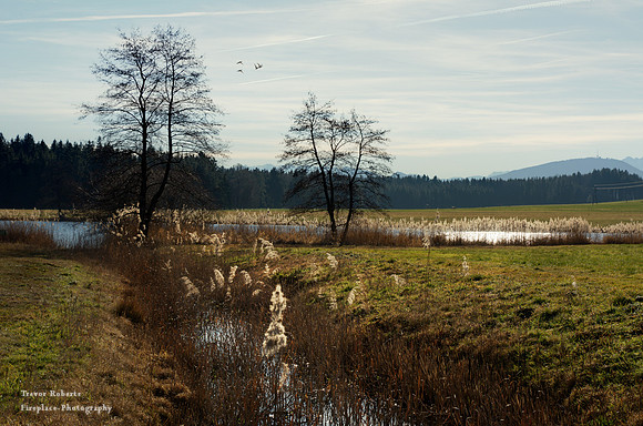 Lake Egelsee