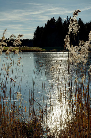 Lake Egelsee  - A sunny winter's day