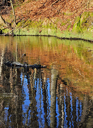 Reflections in the Kohlaichbach