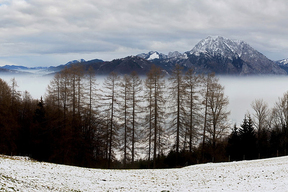A detail from the Pano