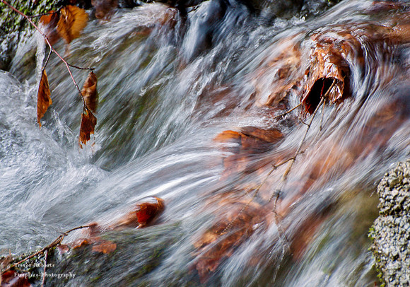 Auch die Kleinen koennen Turbulent sein