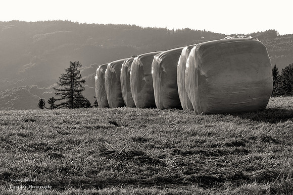 Gmundnerberg -Silage bails B&W