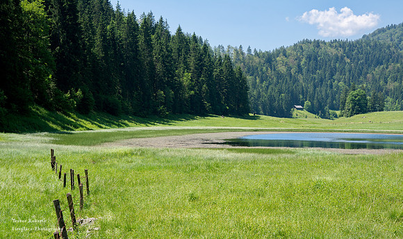 Haleswiesee