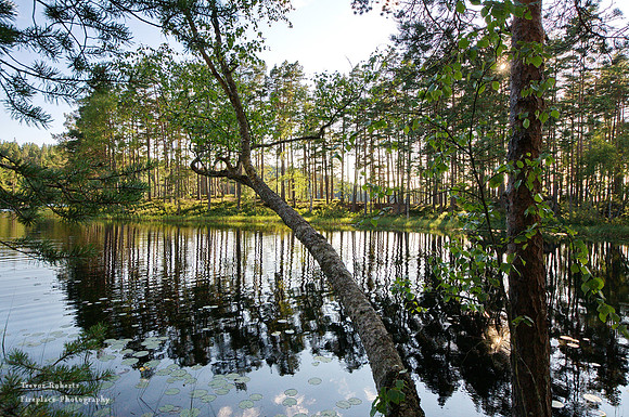 Reflections in the lake