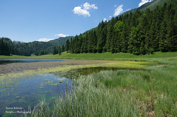 Haleswiesee