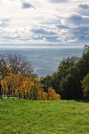 From the top of the Traminer trail