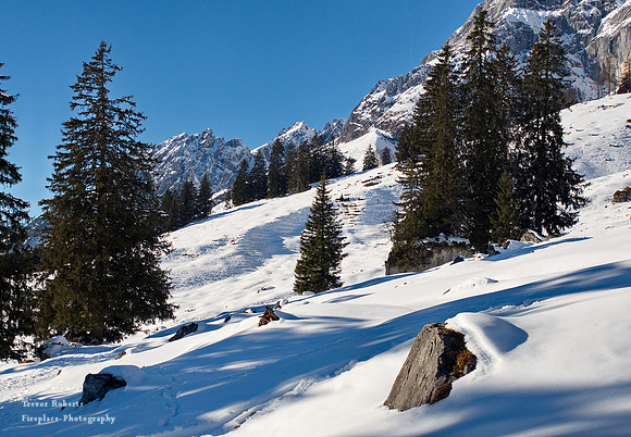 Madelwand Dec 31
