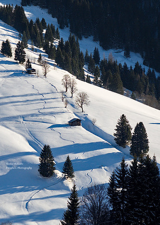 Skiing Dec 28 2016