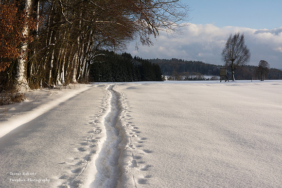 Making Tracks in Pilsbach 3